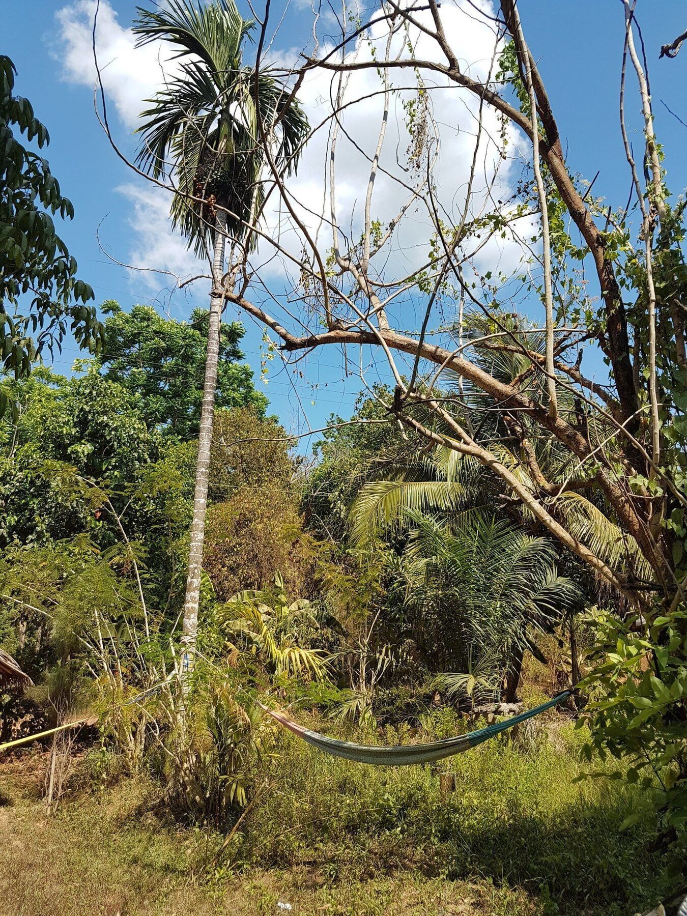 Slacklines Hostel Ko Lanta Eksteriør bilde